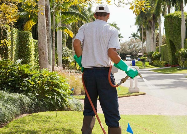 About Hopedale OH Pest Control